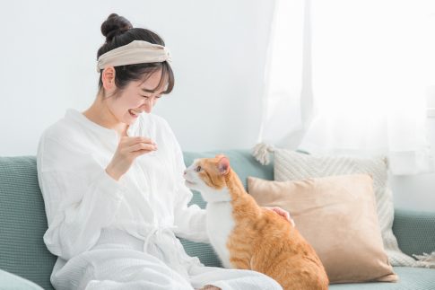 猫に餌を与える女性