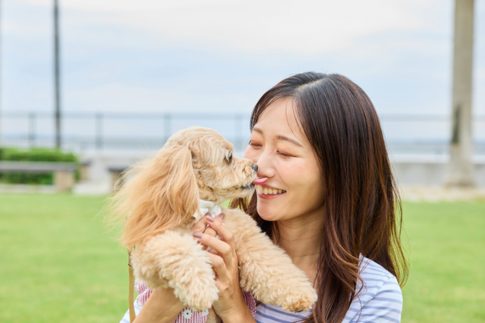 築地駅周辺のペットショップ10選！ペットホテルやサロンをご紹介