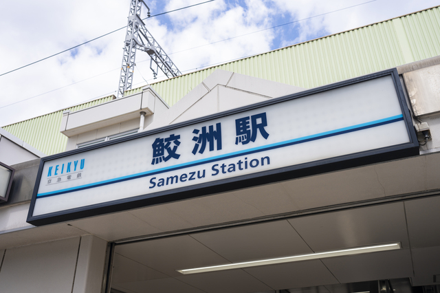 samezu